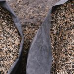 Czy opłaca się produkować pellet? Analiza rentowności nowej zielonej energii