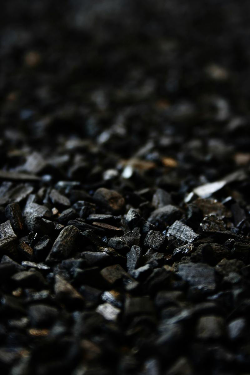 Coal boiler