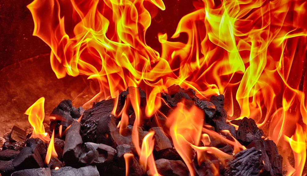 Wood briquettes