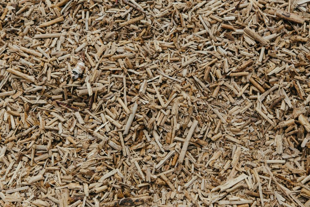 biomass boiler