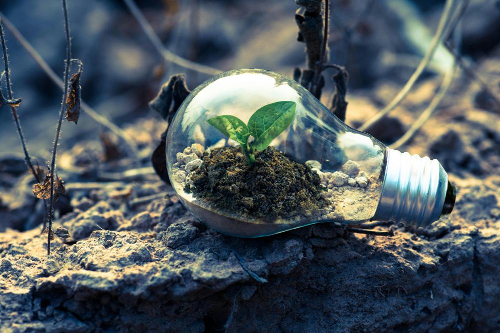 renewable energy-fa805a9ec50e4a2b87d8f81b68814d40.jpg renewable energy