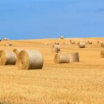 Ile biogazu z kg trawy można uzyskać i jakie są korzyści dla środowiska?