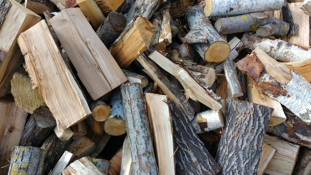 sustainable forestry